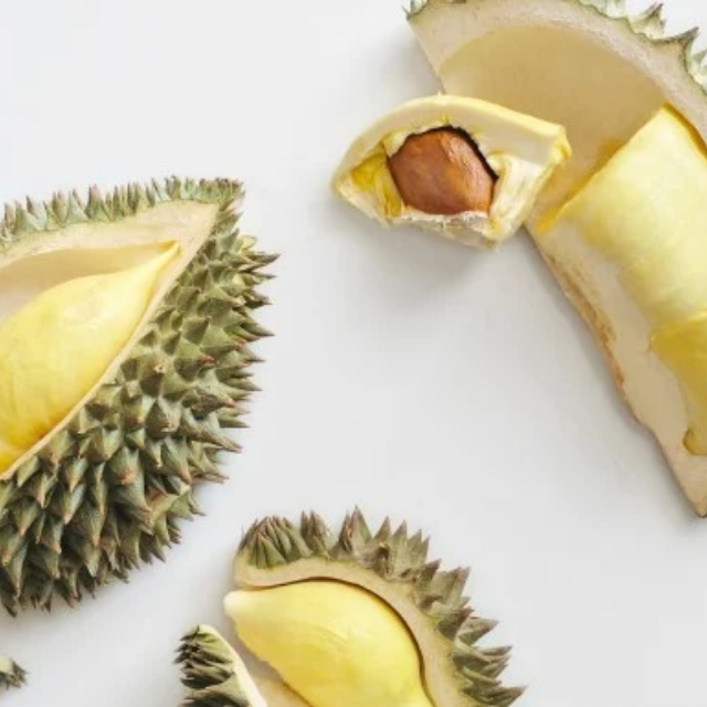 BEST SALE! FROZEN FRESH DURIAN with HIGH QUALITY & BEST PRICE 2023