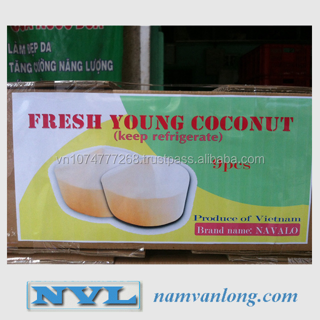 FRESH COCONUT WITH HIGH QUALITY & THE BEST PRICE WITH ORGANIC - WHOLESALE AGRICULTURAL PRODUCTS FROM NAVALO