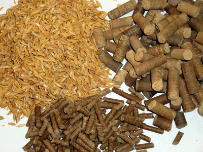 Dried corn silage pellets from Vietnam with best price 2023 (Wholesale)