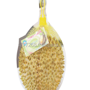 Export Frozen Durian with Competitive Price and Best Quality from Vietnam 2023 - COMPETITIVE PRICE