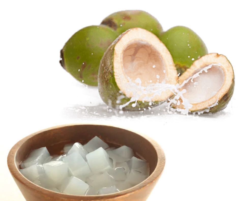 Natural Nata De Coco Coconut Delicious Jelly from Vietnam 2023 Jelly & Pudding Cartoon Shape Coconut Water Cool Place Nutritious