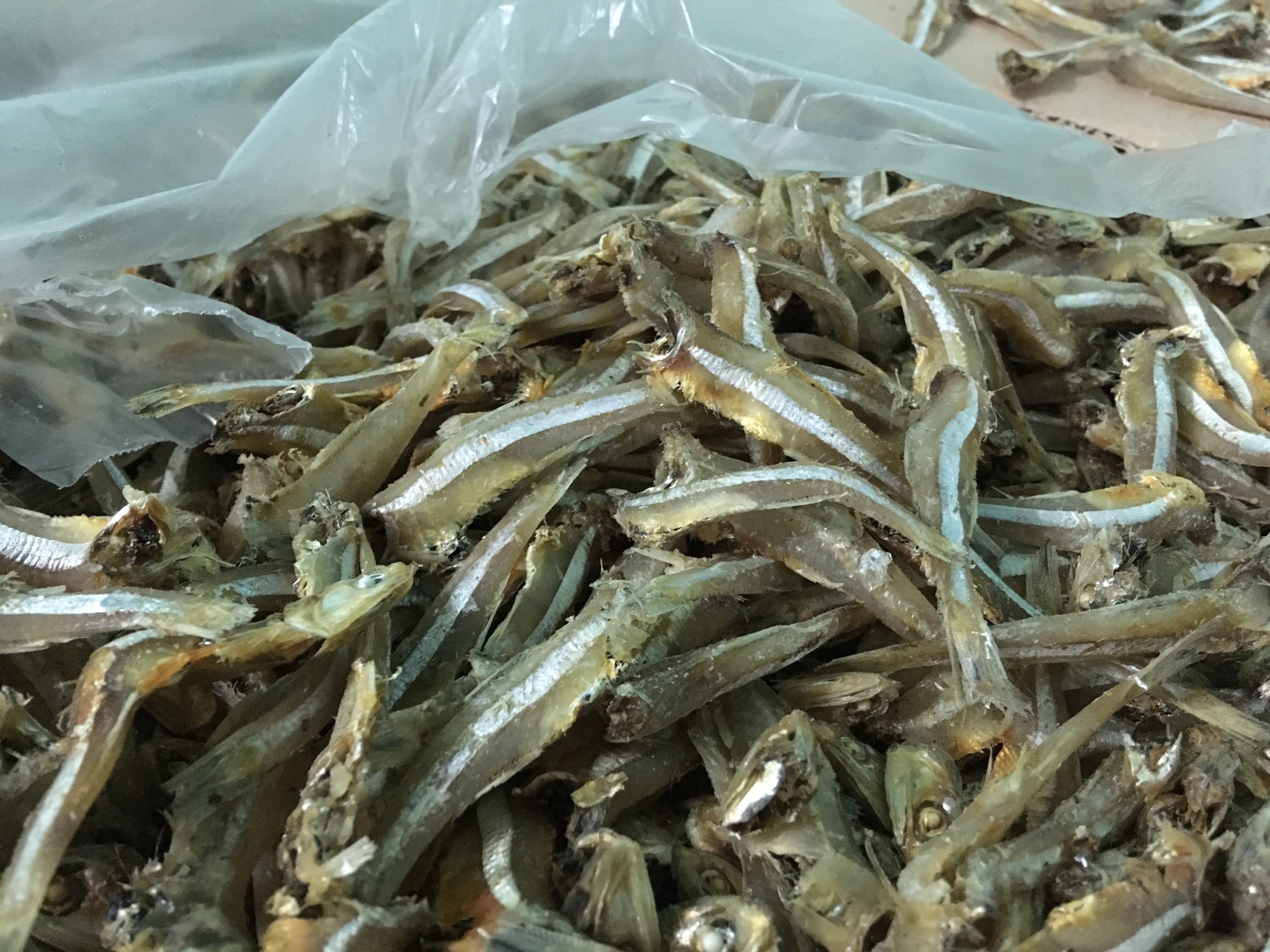 New season DRIED ANCHOVY FISH/Bulk Anchovies with high quality and cheap price from Vietnam 2023