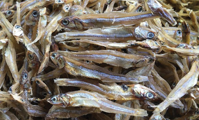 Best Seller Dried Whole Round Anchovy With High Quality and Competitive Price From Vietnam 2023