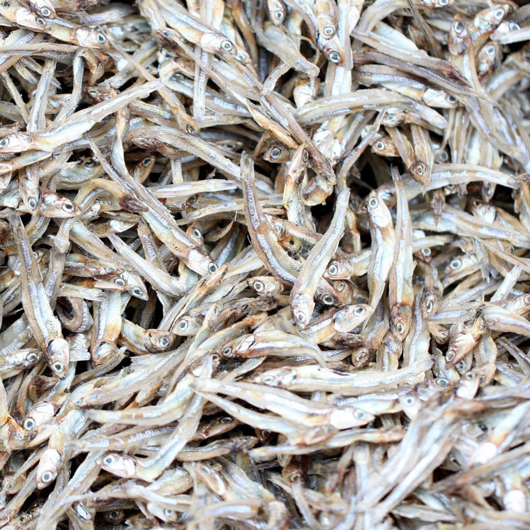 New season DRIED ANCHOVY FISH/Bulk Anchovies with high quality and cheap price from Vietnam 2023