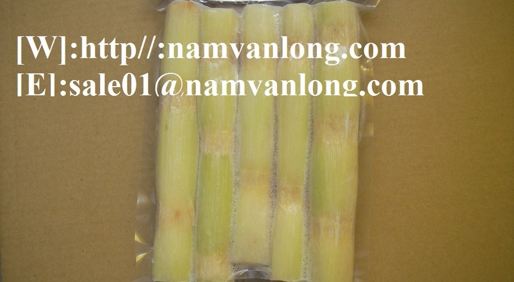 High Quality Frozen Sugarcane Sticks/Frozen Sugar Cane With Competitive Price From Vietnam