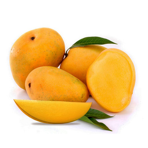 Hot News! Best Price with High Quality Frozen Mango/ SWEET and DELICIOUS ( IQF) from VietNam 2023