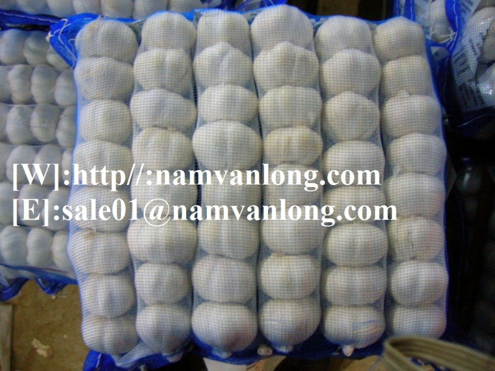 Fresh Garlic FROM Vietnam with High Quality and Best Competitive Price BEST SELLER IN 2023