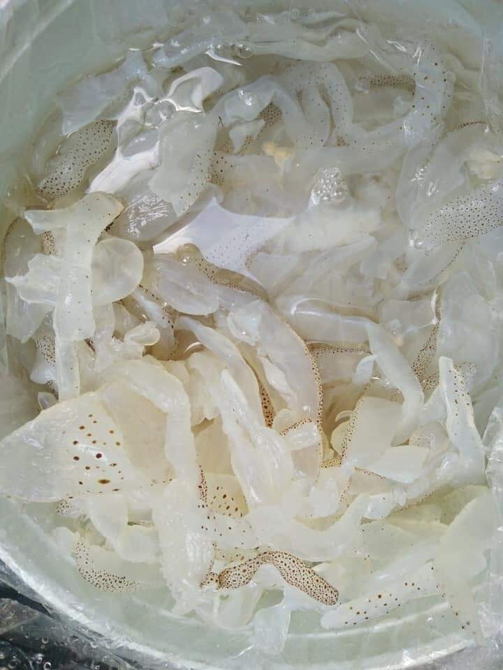 Pickled Jellyfish/ Dried Salted Jelly Fish