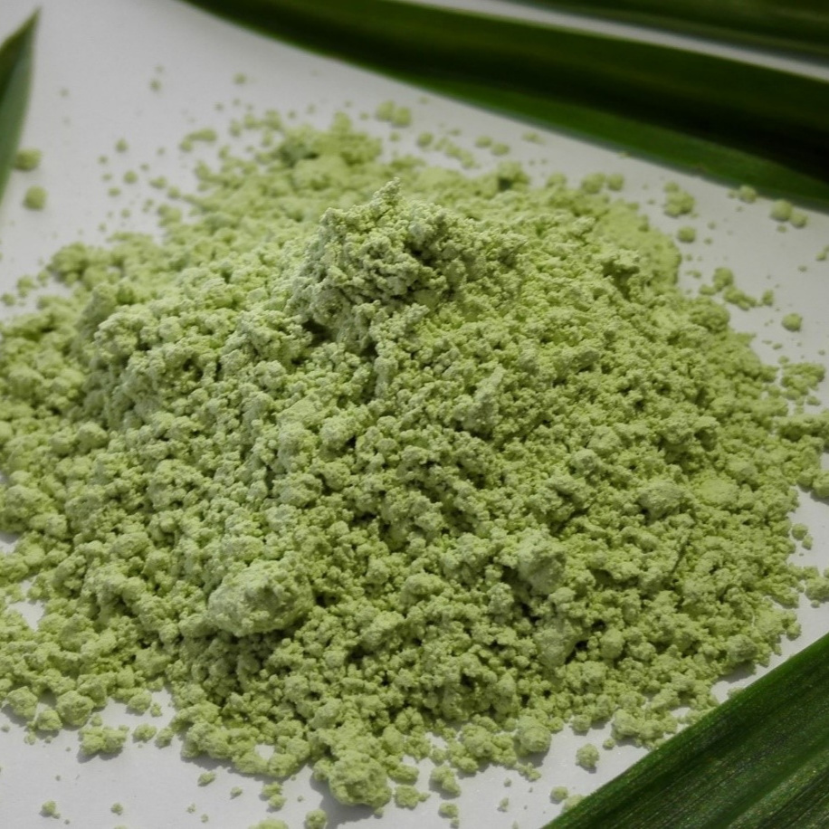 BEST PRICE 2023-100% PURE ORGANIC PANDAN LEAVES POWDER WITH HIGH QUALITY AND COMPETITIVE PRICE Vietnam 2023