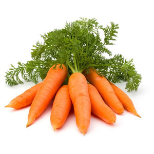 HIGH QUALITY 2023 - DRIED CARROT FROM VIETNAM MANUFACTURE | BEST REASONABLE PRICE FOR YOUR BUSINESS