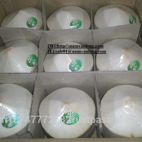 FRESH YOUNG COCONUT with HIGH QUALITY.and BEST COMPETITIVE PRICE EXPORTED FROM VIETNAM  For Wholesanls