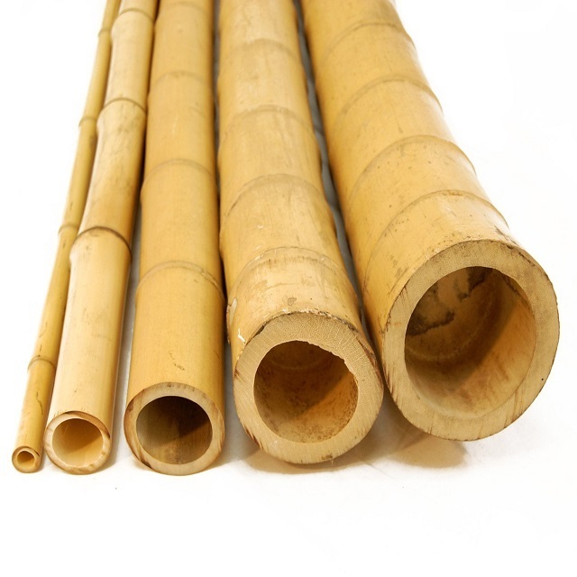 [AGRICULTURAL PRODUCT] NATURAL BAMBOO POLES FOR AGRICULTURAL