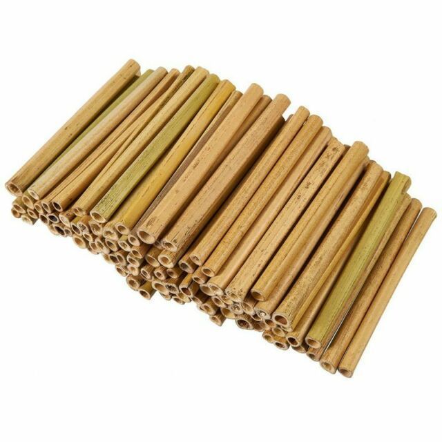 [AGRICULTURAL PRODUCT] NATURAL BAMBOO POLES FOR AGRICULTURAL