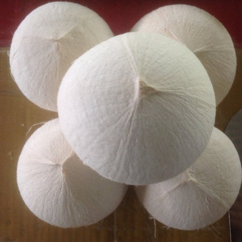 FRESH COCONUT WITH HIGH QUALITY & THE BEST PRICE WITH ORGANIC - WHOLESALE AGRICULTURAL PRODUCTS FROM NAVALO