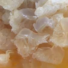 [HOT DEAL 2023] - Dried jellyfish/Jellyfish salted from Vietnam 2023