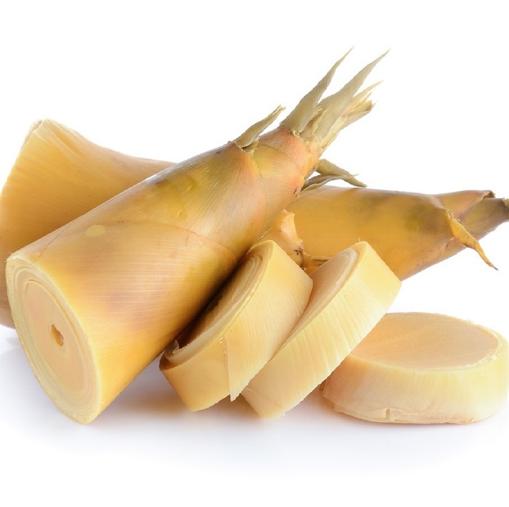 Best Price High Quality Bamboo Shoot from Viet Nam