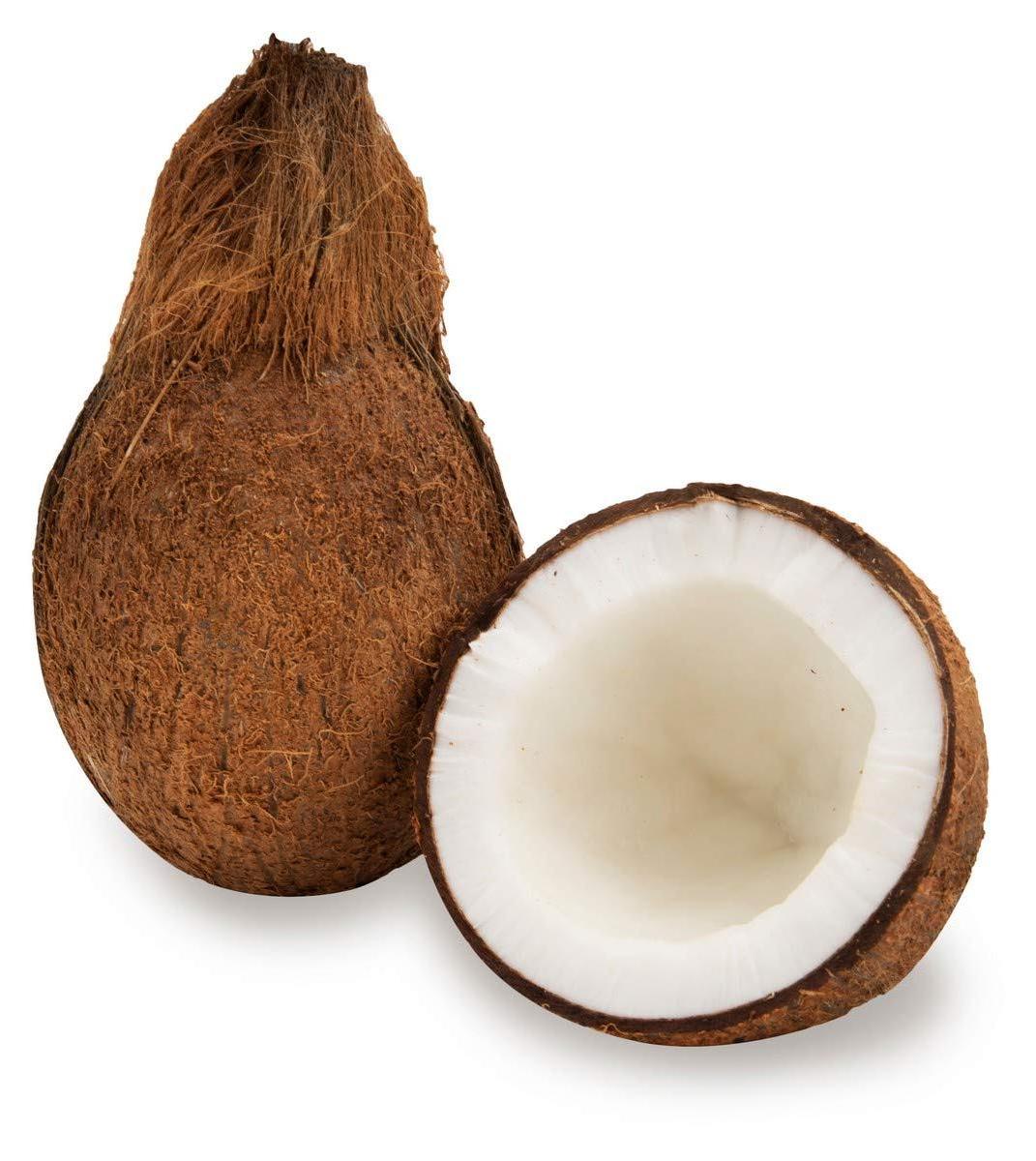 FRESH YOUNG COCONUT with HIGH QUALITY.and BEST COMPETITIVE PRICE EXPORTED FROM VIETNAM  For Wholesanls