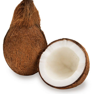 FRESH YOUNG COCONUT with HIGH QUALITY.and BEST COMPETITIVE PRICE EXPORTED FROM VIETNAM  For Wholesanls