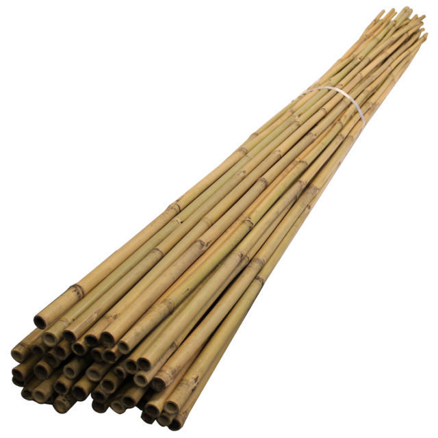 [AGRICULTURAL PRODUCT] NATURAL BAMBOO POLES FOR AGRICULTURAL