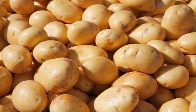 100% FRESH HIGH QUALITY POTATO FROM VIETNAM - HOT SALE 2023 - NAVALO