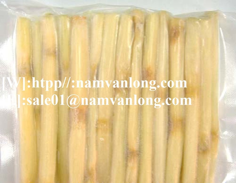 High Quality Frozen Sugarcane Sticks/Frozen Sugar Cane With Competitive Price From Vietnam