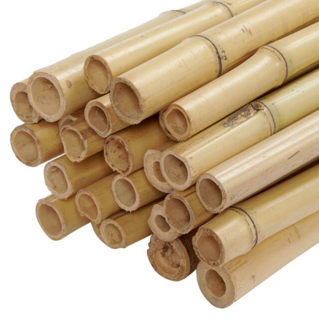 [AGRICULTURAL PRODUCT] NATURAL BAMBOO POLES FOR AGRICULTURAL