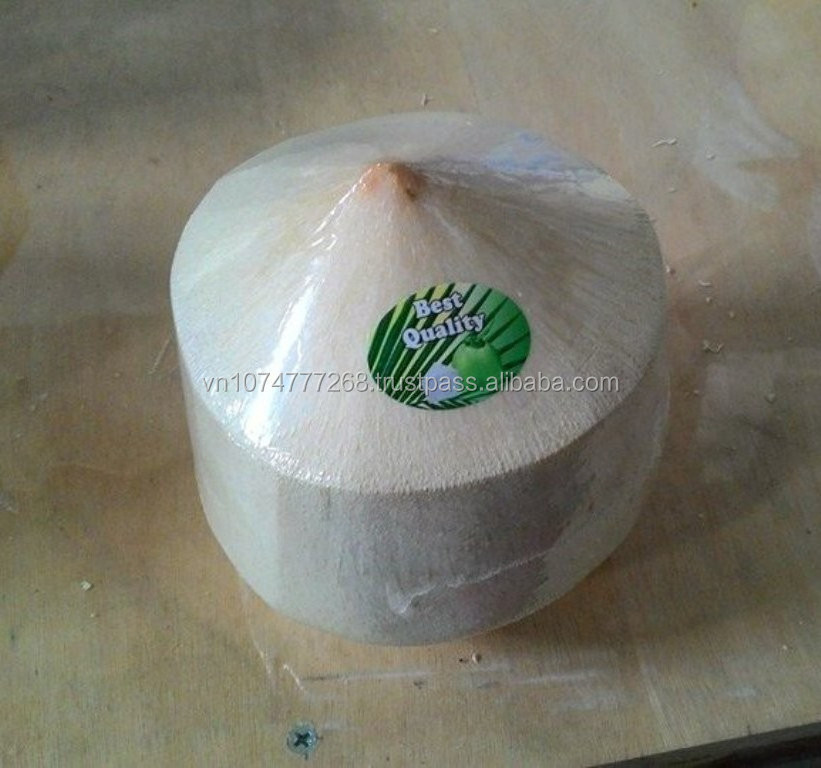 FRESH COCONUT WITH HIGH QUALITY & THE BEST PRICE WITH ORGANIC - WHOLESALE AGRICULTURAL PRODUCTS FROM NAVALO