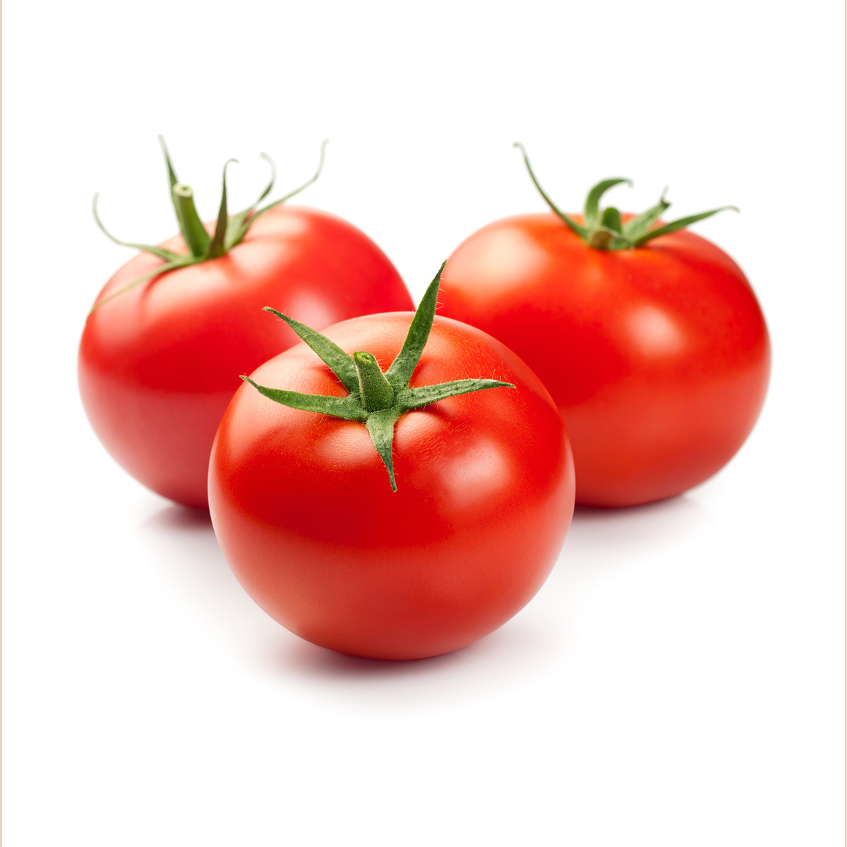 WHOLESALE FRESH ORGANIC TOMATO HIGH QUALITY - EXPORTING STANDARD WITH COMPETITIVE PRICE FROM VIETNAM