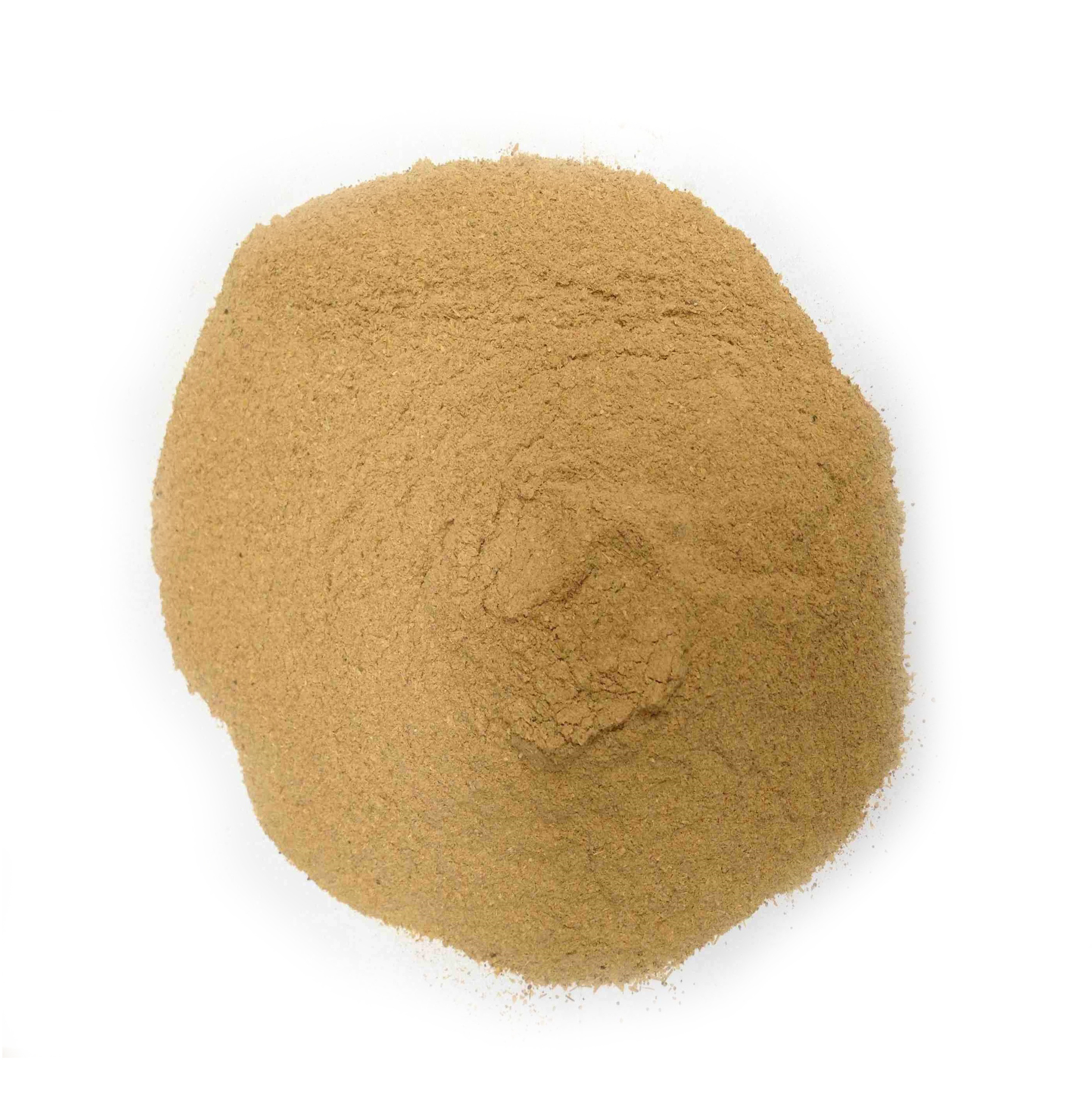 Best Price High Quality Beer Residue Powder  High Quality Non-GMO Organic with ISO Certification from Viet Nam