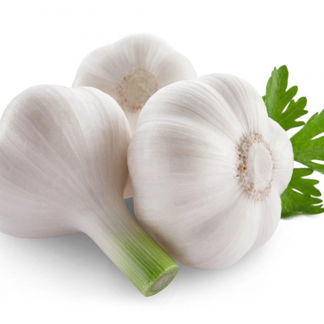 Fresh Garlic FROM Vietnam with High Quality and Best Competitive Price BEST SELLER IN 2023