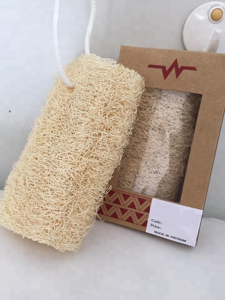 Top Quality 2023 - Natural Loofah Sponge from Vietnam at a Competitive Price