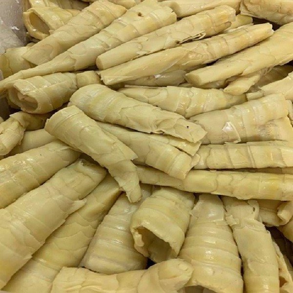 Best Price High Quality Bamboo Shoot from Viet Nam