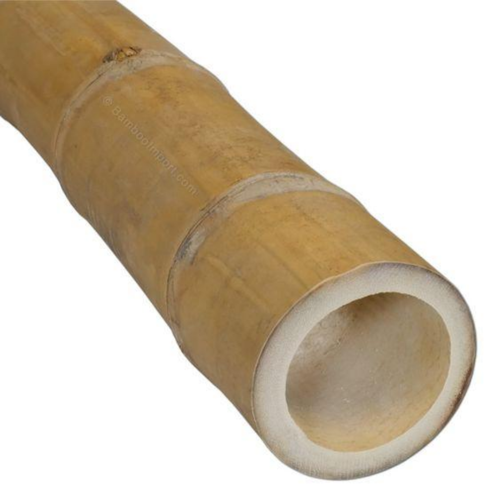 HIGH QUALITY STRAIGHT BAMBOO POLES WITH BEST  from Vietnam 2023