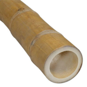 HIGH QUALITY STRAIGHT BAMBOO POLES WITH BEST  from Vietnam 2023