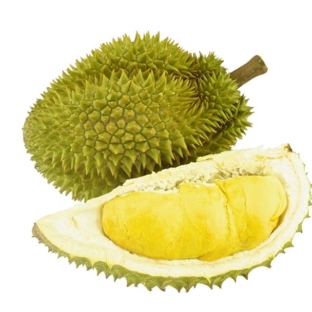 BEST SALE! FROZEN FRESH DURIAN with HIGH QUALITY & BEST PRICE 2023