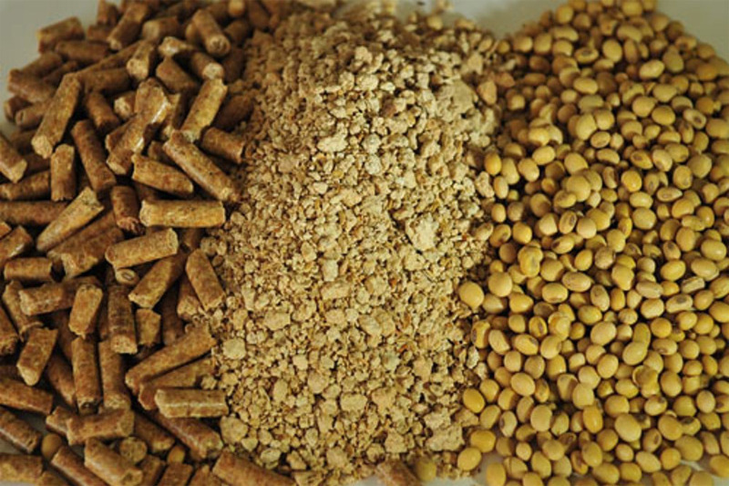 Soybean Meal For Animal With Best Price And High Quality From Vietnam Exporter for Wholesale