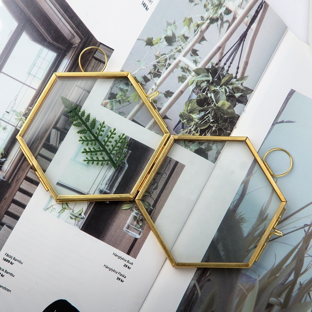 6 Inch Gold Glass Pressed Flower Frames Hexagon Shaped Hanging Wall Floating Frame for Leaf Artwork Specimen Clip Glass Frame