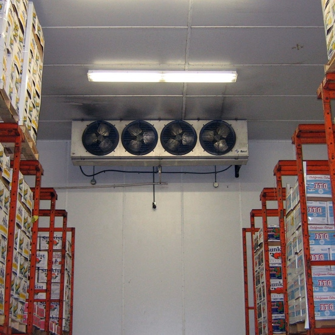 Easy to Install Cold Storage Room Modern Preservation Refrigerated Cold Room Business Cold Storage Warehouse System Vegetables