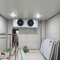 Modular Cold Storage Room With PU Insulated Calmlock Sandwich Panel Cold Room for fish  PPGI penal blast room ware house