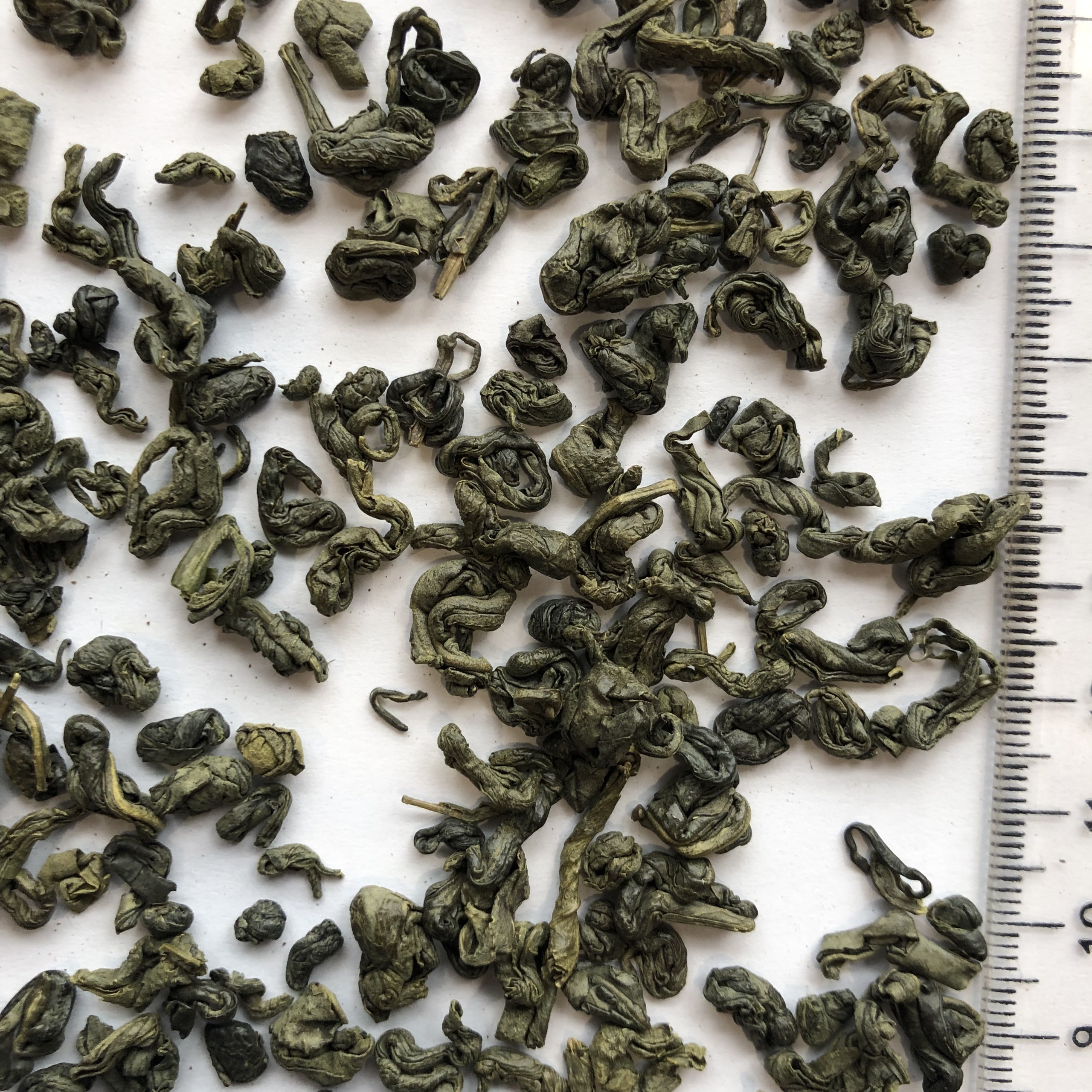 BEST HIGH-GROWN SUPER PEKOE GREEN TEA FROM VIETNAM GOLDEN BROKEN LOOSE LEAF CHUNMEE TEA PRIVATE LABEL BULK QUANTITY AVAILABLE