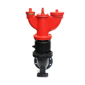 Manufacturers Underground Fire Hydrant/Fire Pillar / Breeching Inlet Valve With Pamper Connection