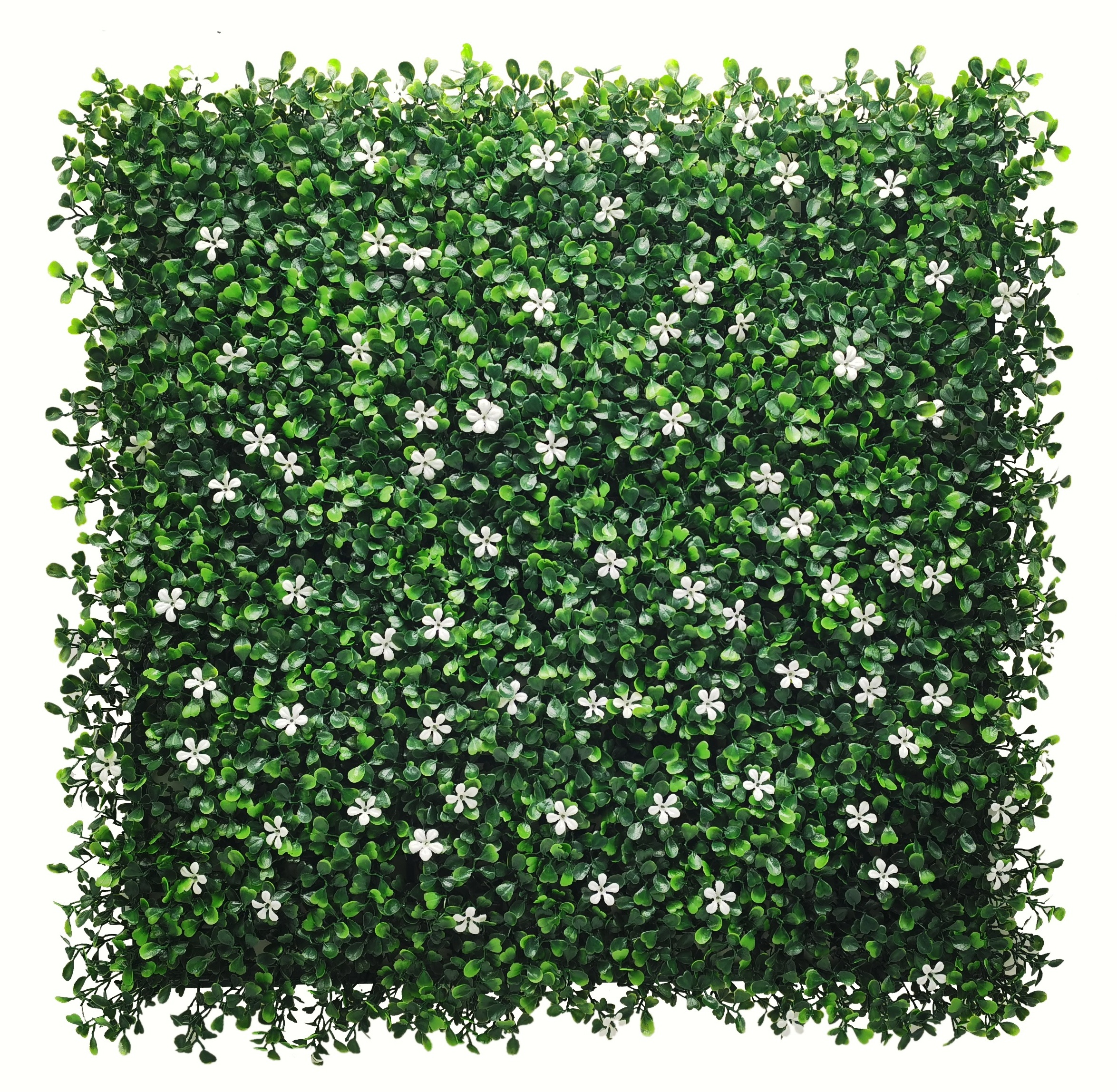 No Maintenance Adaptable To Any Size 100% Pure Pe Material Boxwood Jasmine Artificial Green Grass Wall Flower Decor