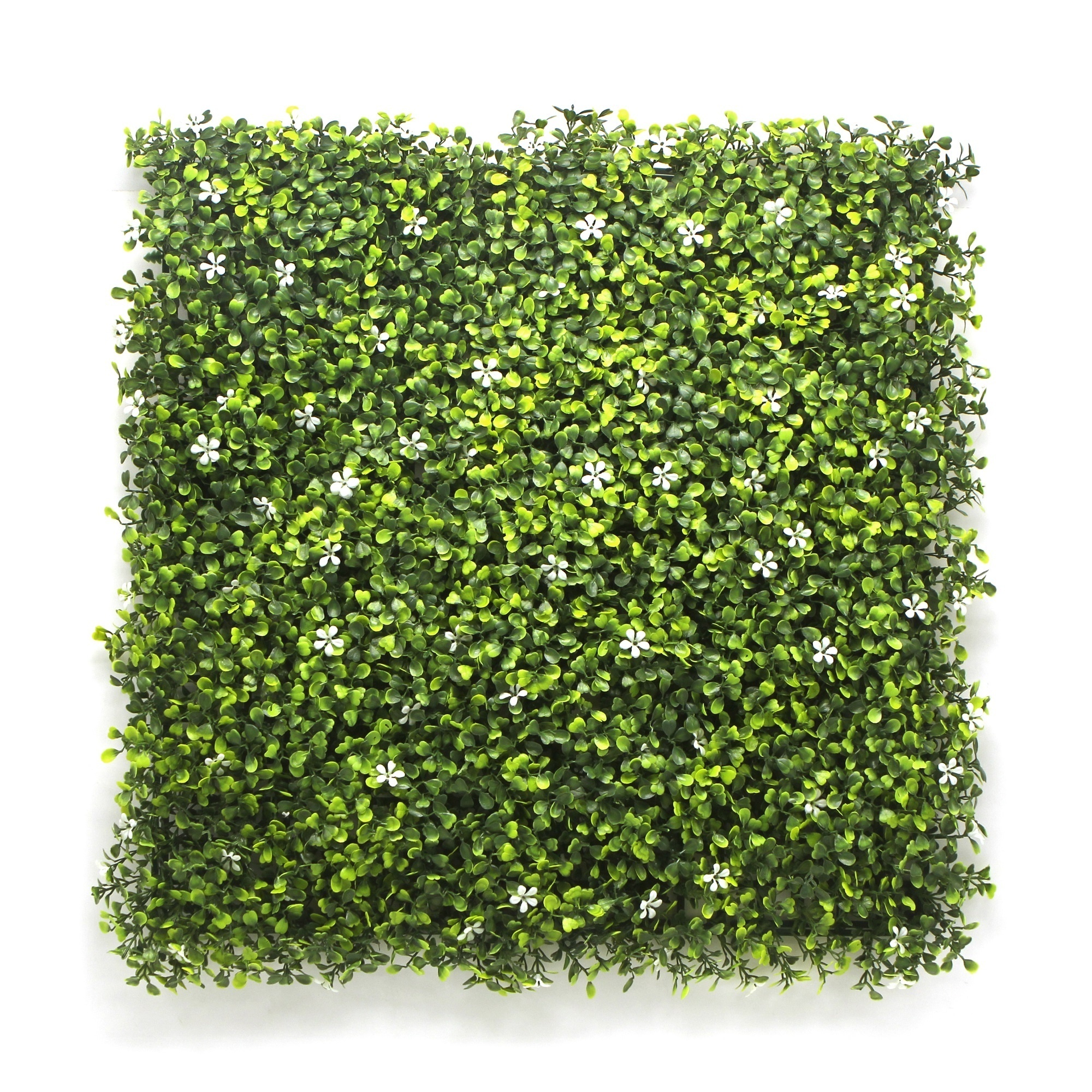 No Maintenance Adaptable To Any Size 100% Pure Pe Material Boxwood Jasmine Artificial Green Grass Wall Flower Decor