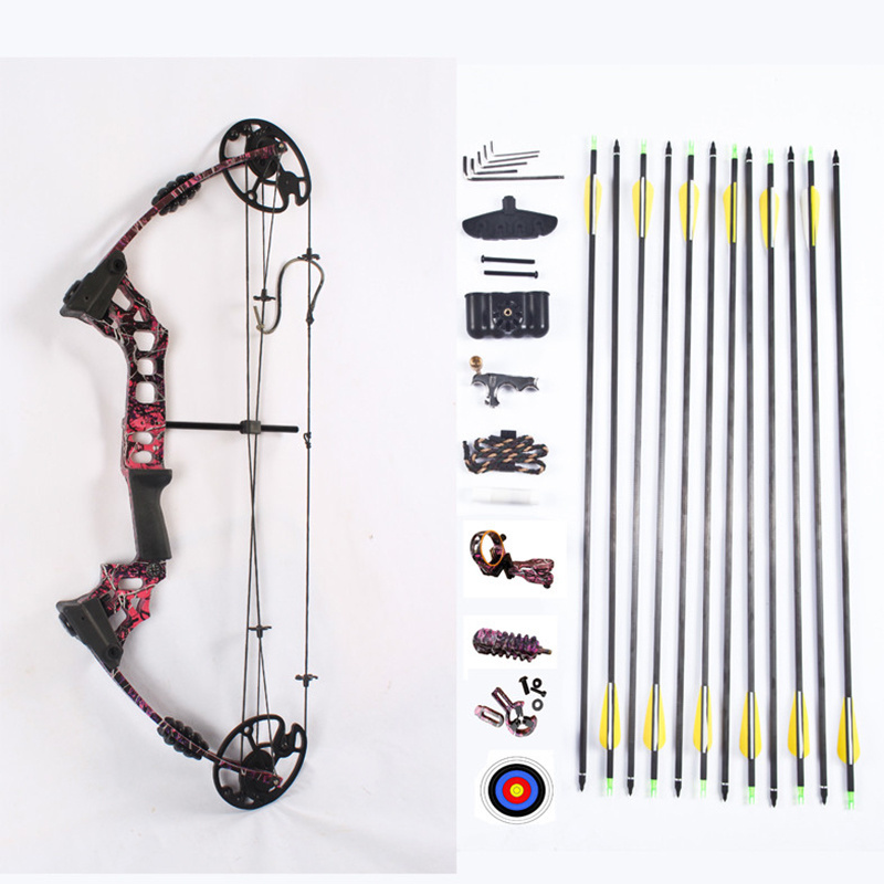 China Archery Compound Bow And Arrows For Sale