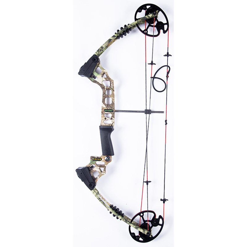 China Archery Compound Bow And Arrows For Sale