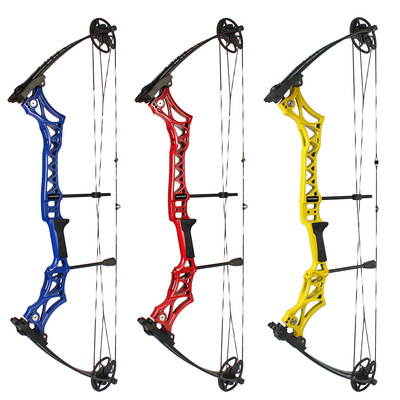 China high quality compound bow arrows hunting compound bow for sale