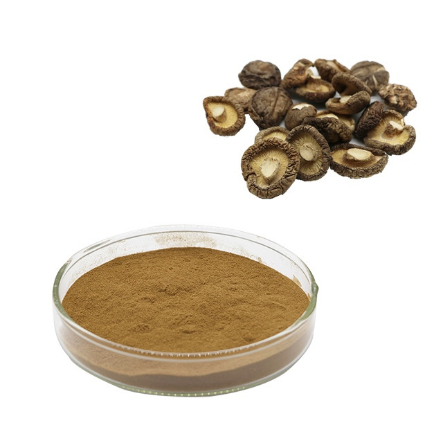 High Quality  Pure Natural Shiitake Mushroom Extract  Mushroom Extract With  Lentinan Polysaccharide30%