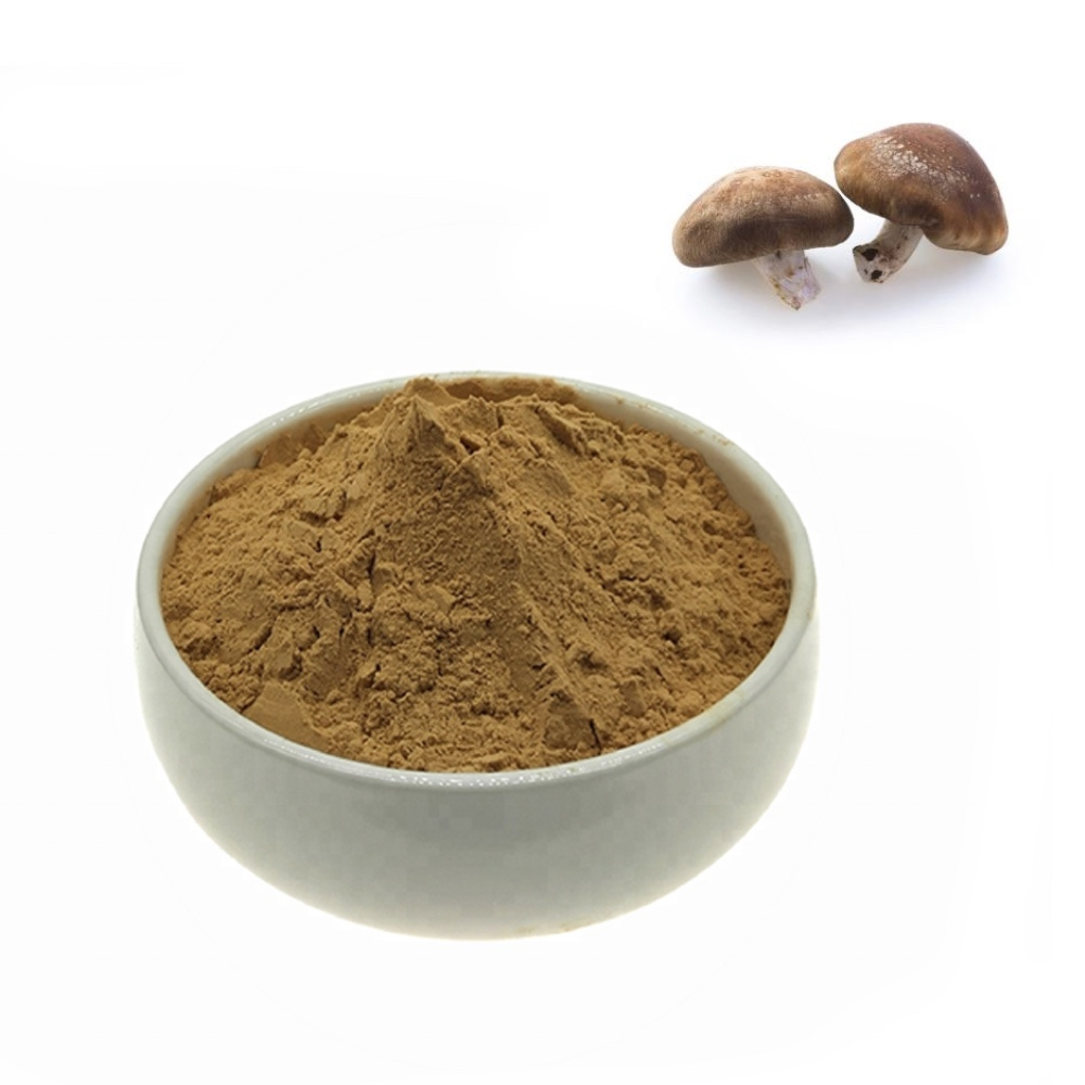 High Quality  Pure Natural Shiitake Mushroom Extract  Mushroom Extract With  Lentinan Polysaccharide30%