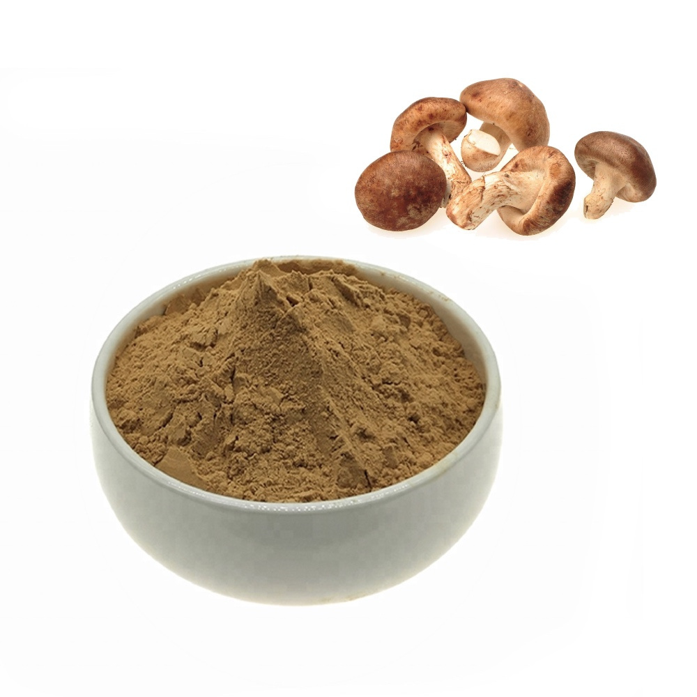 High Quality  Pure Natural Shiitake Mushroom Extract  Mushroom Extract With  Lentinan Polysaccharide30%