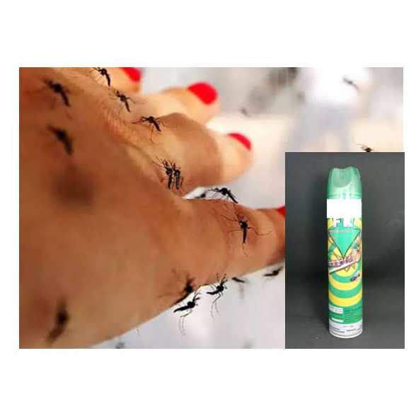 Mosquito Cockroach Insect Insecticide Pesticide Aerosol spray Pyrethrum Pest Control Home Cleaning aerosol insecticide fly spray